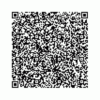 vCard 73833300252