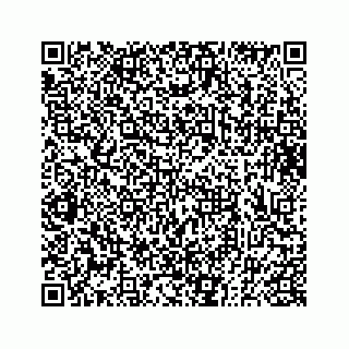vCard 73833300262