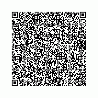 vCard 73833300263