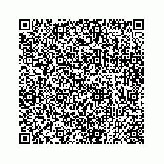 vCard 73833300265