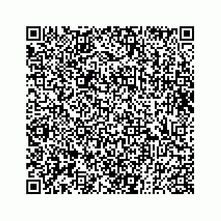 vCard 73833300268