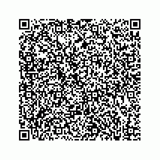 vCard 73833300270