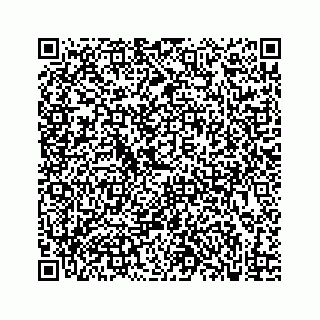 vCard 73833300271