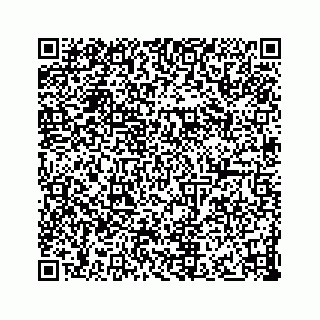 vCard 73833300272