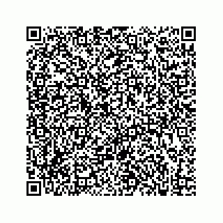 vCard 73833300273