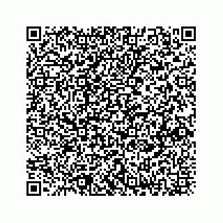 vCard 73833300275