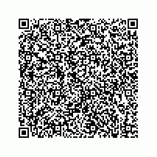 vCard 73833300276