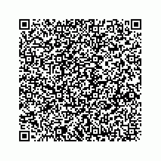 vCard 73833300278