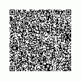 vCard 73833300279