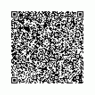 vCard 73833300280