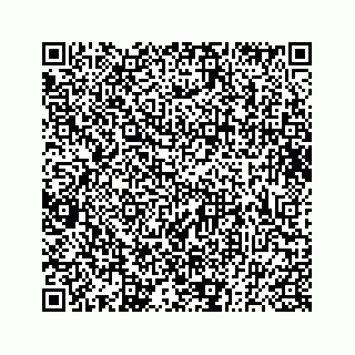 vCard 73833300281