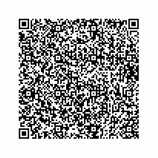 vCard 73833300282