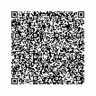 vCard 73833300285