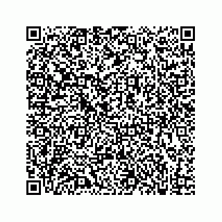 vCard 73833300287