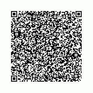 vCard 73833300289