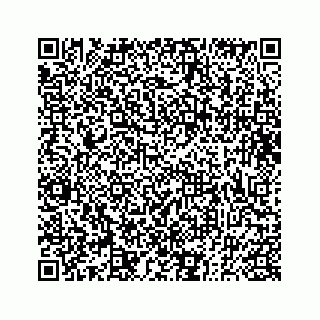 vCard 73833300290