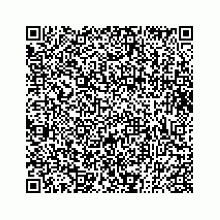 vCard 73833300291