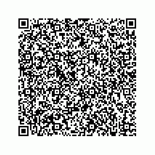 vCard 73833300294