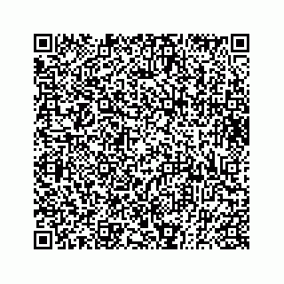 vCard 73833300297