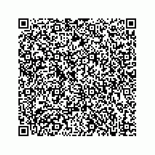 vCard 73833300299