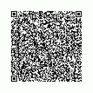 vCard 73833300300