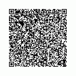 vCard 73833300309
