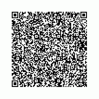 vCard 73833300310