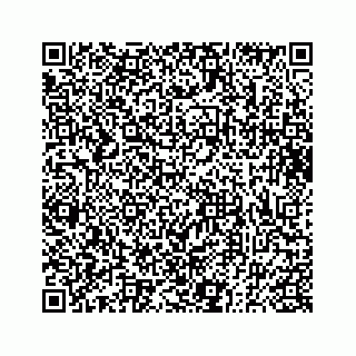 vCard 73833300313