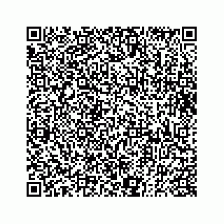 vCard 73833300319