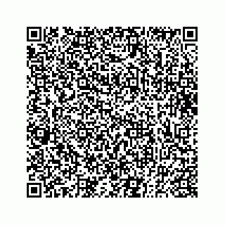 vCard 73833300320