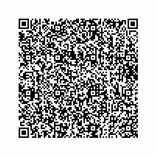 vCard 73833300321