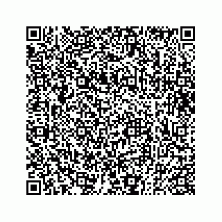 vCard 73833300324