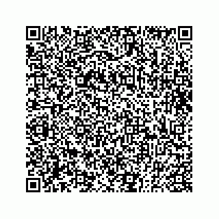 vCard 73833300328