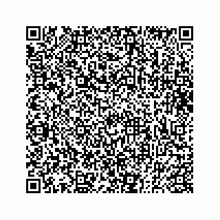 vCard 73833300330