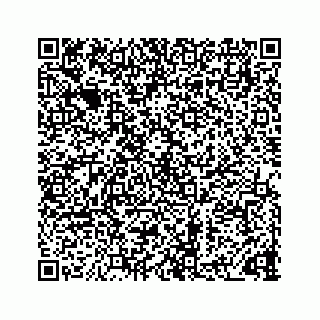 vCard 73833300333
