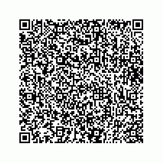 vCard 73833300335