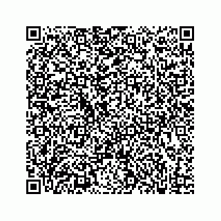 vCard 73833300337
