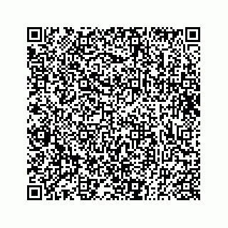vCard 73833300338