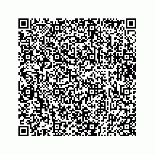 vCard 73833300339