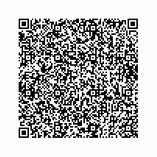 vCard 73833300341