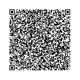 vCard 73833300343