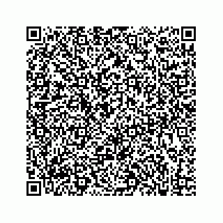 vCard 73833300345