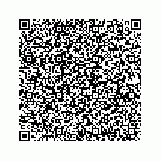 vCard 73833300349