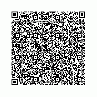 vCard 73833300352