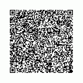 vCard 73833300358