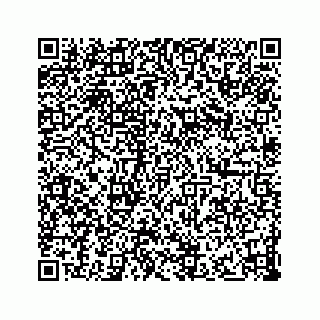 vCard 73833300369