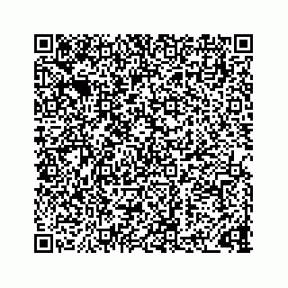 vCard 73833300374