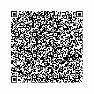 vCard 73833300378