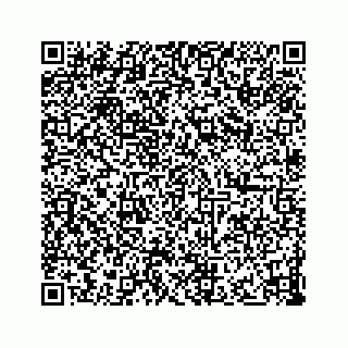 vCard 73833300379
