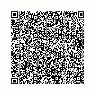 vCard 73833300381